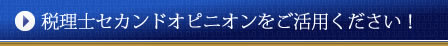 税理士セカンドオピニオンサービスをご活用ください！