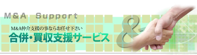 M&A 支援機関サポート