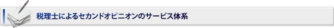 税理士によるセカンドオピニオンのサービス体系