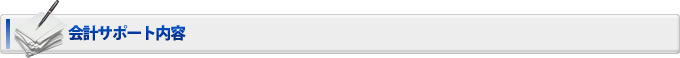 会計サポート内容