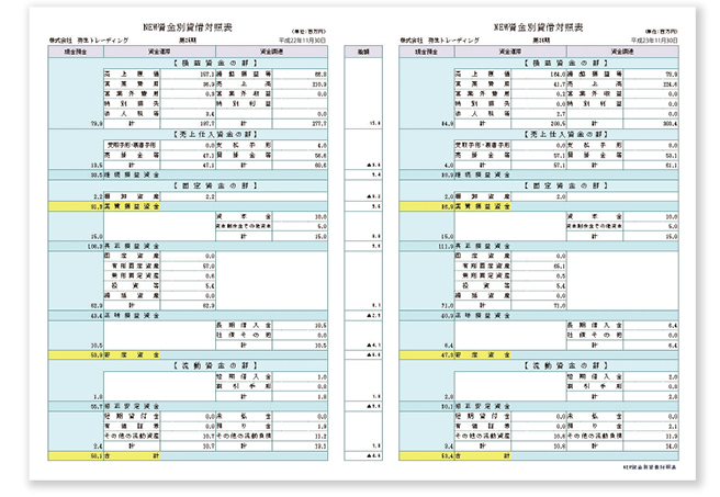 NEW資金別貸借対照表