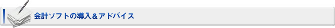 会計ソフトの導入＆アドバイス